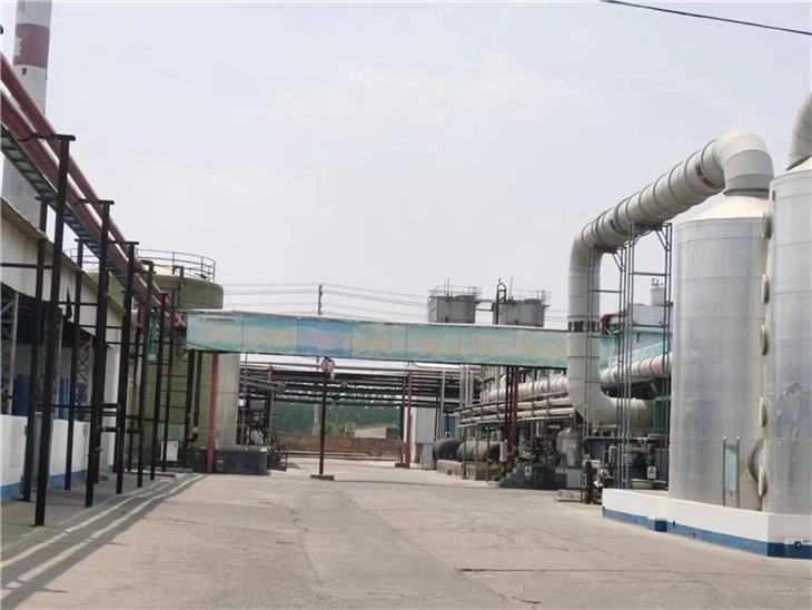 BRONOPOL WORKSHOP (2)